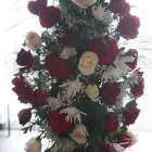 Afacere 9 imagine PFA ALECU MARIA Shopping în Braşov