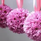 Afacere 22 imagine PFA ALECU MARIA Shopping în Braşov