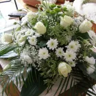 Afacere 23 imagine PFA ALECU MARIA Shopping în Braşov