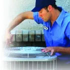 Afacere 3 imagine PITA-PAN SRL Servicii profesionale în Suceava