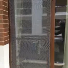 Afacere 7 imagine PLASE INSECTE IEFTINE Uşi, ferestre şi accesorii în Bucureşti
