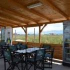 Afacere 1 imagine PRO ARENA în Braşov