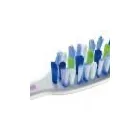 Afacere 13 imagine PRODESTET SRL în Roman NT