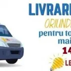 Afacere 4 imagine PROFI ELECTRO PAVCONS Magazin de corpuri de iluminat în Ploieşti PH