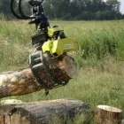Afacere 25 imagine PROGEMA FOREST SRL Utilaje şi echipamente pentru prelucrarea lemnului în Glina IF