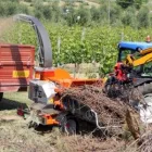 Afacere 30 imagine PROGEMA FOREST SRL Utilaje şi echipamente pentru prelucrarea lemnului în Glina IF