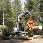 Afacere 37 imagine PROGEMA FOREST SRL Utilaje şi echipamente pentru prelucrarea lemnului în Glina IF