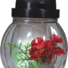 Afacere 3 imagine PROMETEO CANDELA Shopping în Arad