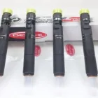 Afacere 8 imagine REPARATII INJECTOARE BUZAU Service auto în Mărăcineni BZ