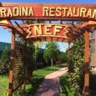 Afacere 3 imagine RESTAURANT NEF Restaurant în Galaţi