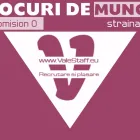 Afacere 2 imagine S.C. VALE PROV STAFF S.R.L. Servicii pentru afaceri în Buzău