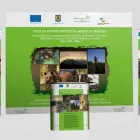 Afacere 12 imagine SC ADV MEDIA PROJECT SRL Servicii profesionale în Iaşi