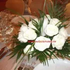 Afacere 5 imagine SC AGENTIA SELECT EVENTS SRL Servicii profesionale în Bucureşti