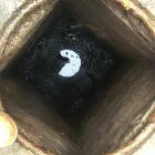 Afacere 1 imagine SC AQUA SEWER SERVICES SRL Servicii profesionale în Bucureşti