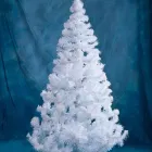 Afacere 6 imagine SC. AROMA PRODCOM SRL Shopping în Pantelimon IF