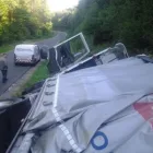 Afacere 10 imagine SC AUTOGRAMAR SRL Service auto în Oradea BH