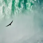 Afacere 1 imagine SC BITINVEST SRL Tehnicieni proiectanţi în Târgovişte DB