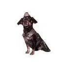 Afacere 13 imagine SC BORDULA EUROANIMODE SRL Shopping în Petroşani HD