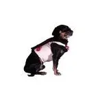 Afacere 15 imagine SC BORDULA EUROANIMODE SRL Shopping în Petroşani HD