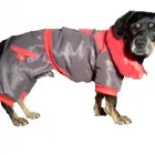 Afacere 16 imagine SC BORDULA EUROANIMODE SRL Shopping în Petroşani HD