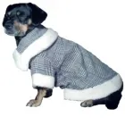 Afacere 17 imagine SC BORDULA EUROANIMODE SRL Shopping în Petroşani HD