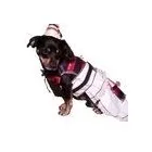 Afacere 18 imagine SC BORDULA EUROANIMODE SRL Shopping în Petroşani HD