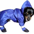 Afacere 21 imagine SC BORDULA EUROANIMODE SRL Shopping în Petroşani HD