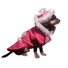 Afacere 22 imagine SC BORDULA EUROANIMODE SRL Shopping în Petroşani HD