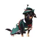 Afacere 24 imagine SC BORDULA EUROANIMODE SRL Shopping în Petroşani HD