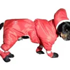 Afacere 25 imagine SC BORDULA EUROANIMODE SRL Shopping în Petroşani HD