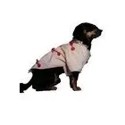 Afacere 26 imagine SC BORDULA EUROANIMODE SRL Shopping în Petroşani HD