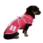 Afacere 31 imagine SC BORDULA EUROANIMODE SRL Shopping în Petroşani HD