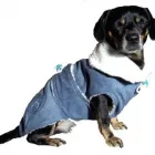 Afacere 32 imagine SC BORDULA EUROANIMODE SRL Shopping în Petroşani HD