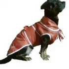 Afacere 33 imagine SC BORDULA EUROANIMODE SRL Shopping în Petroşani HD