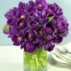 Afacere 1 imagine SC COPERNIC SRL Shopping în Sibiu