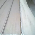 Afacere 1 imagine SC DEKATEL SRL Servicii profesionale în Ploieşti PH