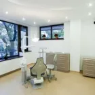 Afacere 5 imagine SC DENTAL EXPERT'S GROUP DR. DUMITRESCU & GARDEF SRL Stomatologi şi cabinete stomatologice în Bucureşti