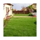 Afacere 7 imagine SC GRUPPO VERDE SRL Construcţii şi Imobiliare în Braşov
