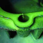 Afacere 1 imagine SC LIMEX SRL Servicii profesionale în Brasov BV