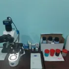 Afacere 4 imagine SC PIATRA VET SRL Veterinari şi clinici veterinare în Piatra-Neamţ NT