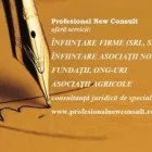 Afacere 3 imagine SC PROFESIONAL NEW CONSULT SRL Servicii legale şi financiare în Piteşti AG