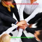 Afacere 26 imagine SC PROFESIONAL NEW CONSULT SRL Servicii legale şi financiare în Piteşti AG
