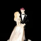 Afacere 8 imagine SC VIDEOTECH PRODUCTIONS SRL Servicii profesionale în Petroşani HD