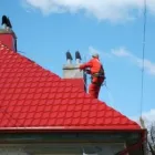 Afacere 7 imagine SC.ZOTI.CONSTRUCT.SRL-CONSTRUCTII Magazin de gresie şi faianţă în Tulcea