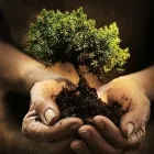 Afacere 1 imagine SCA GRIMBERG & PARTNERS Servicii legale şi financiare în Bucureşti