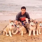 Afacere 1 imagine SCOALA DRESAJ CAINI PIPERA TUNARI Servicii profesionale în Tunari IF