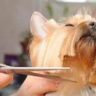 Afacere 2 imagine SEBECRYS FARMVET S.R.L Veterinari şi clinici veterinare în Focşani VN