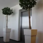 Afacere 1 imagine SIMACEK GARDENING Shopping în Cluj-Napoca CJ