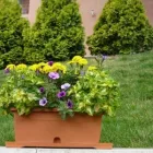Afacere 4 imagine SIMACEK GARDENING Shopping în Cluj-Napoca CJ