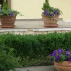 Afacere 6 imagine SIMACEK GARDENING Shopping în Cluj-Napoca CJ